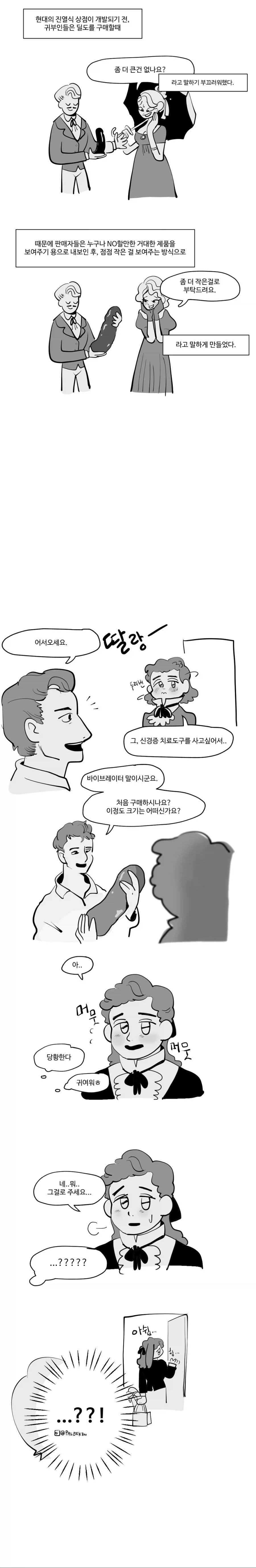 귀부인들의 딜도 쇼핑