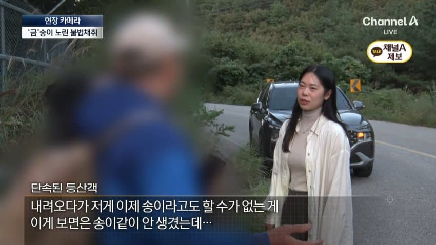 채널a) 송이버섯 1kg에 160만원...밤낮 추격전 (32)