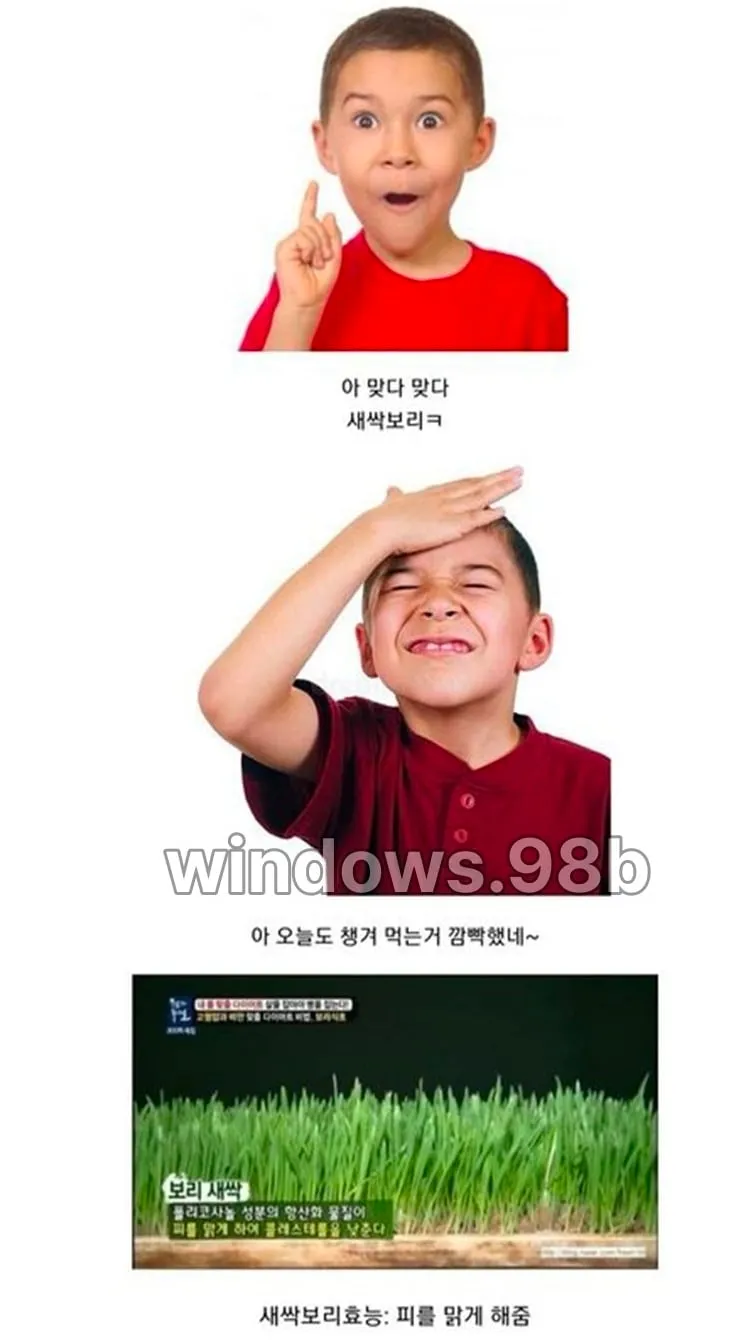 [스압] 극 N의 멍때리기 (7)