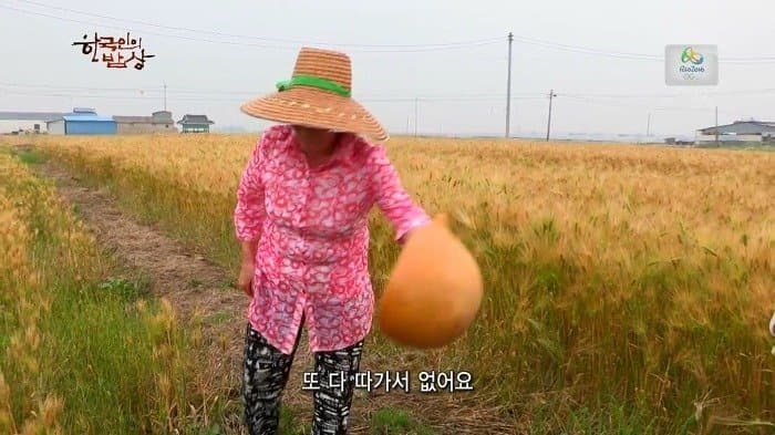 싱글벙글 보릿고개 시절에 먹었다는 잡초풀죽 (10)