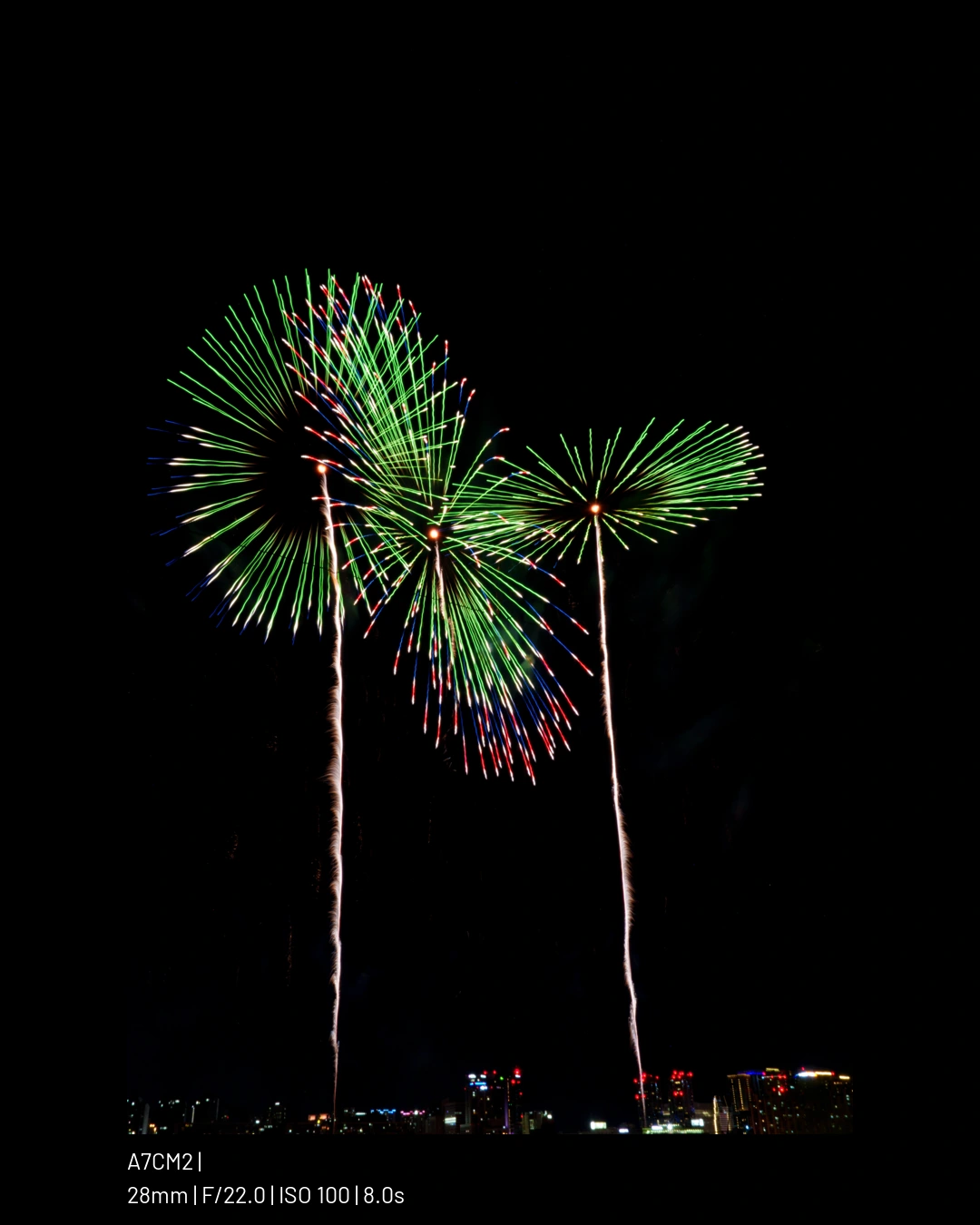 뒷북 불꽃축제 샤진.webp (50pic) (2)
