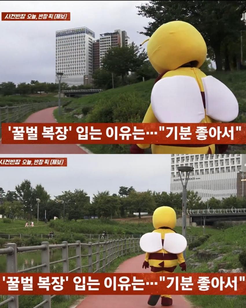 꿀벌 옷 입는 이유 (7)