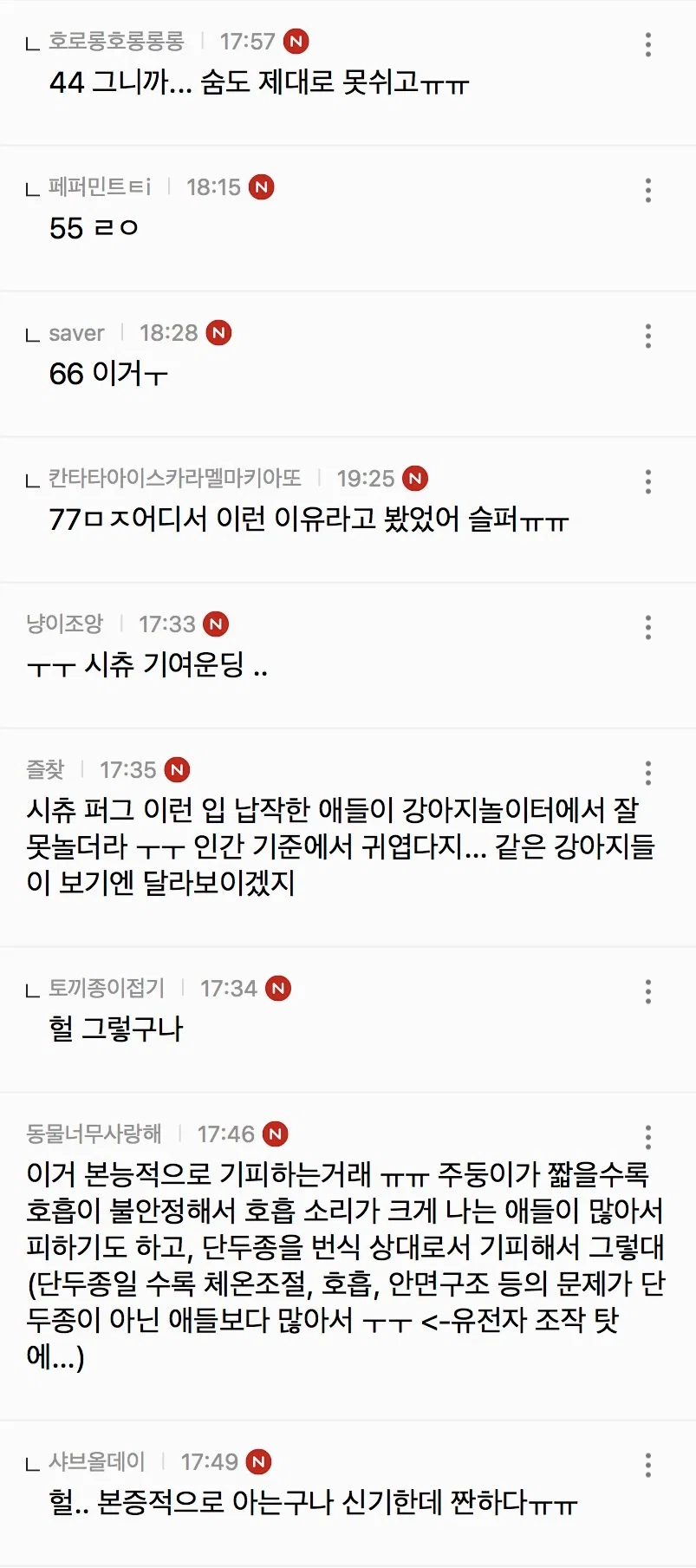 코 납작한 강쥐는 강아지들 사이에서 진짜 왕따.. (3)