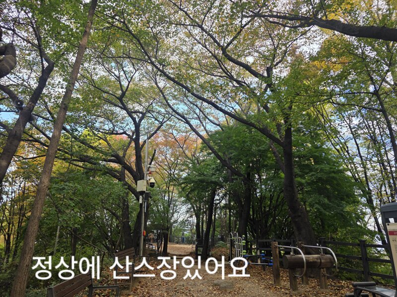 서울에서 남산타워,롯데타워를 볼수있는 공원 (19)
