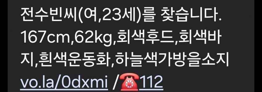 한탄강서 초등생 7명 물에 빠져…실종 1명은 심정지로 이송 (2)