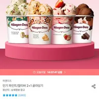 하겐다즈 파인트 3개