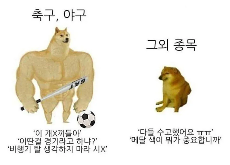 축구&야구 VS 타종목 반응 차이