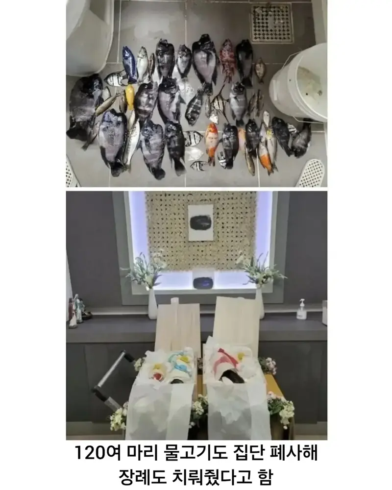 아파트에 거대수조 설치하고 파손되자 업체소송건 사람 (5)