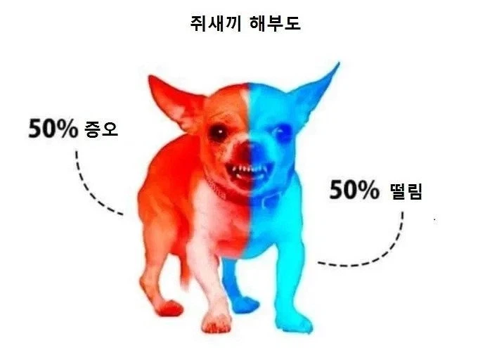 내가 번역한 것 중 가장 많이 퍼진 거