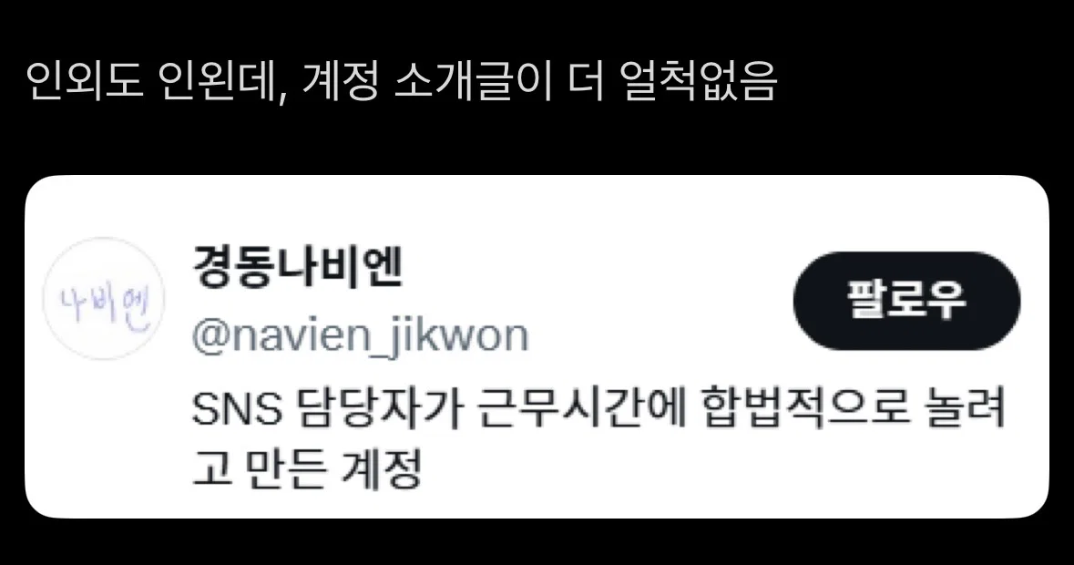롯데월드 인외붐에 도전장을 내민 경동나비엔.... (4)