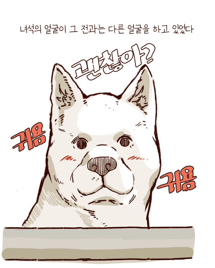 싱글벙글 우리동네 용감한 백구 이야기 (18)