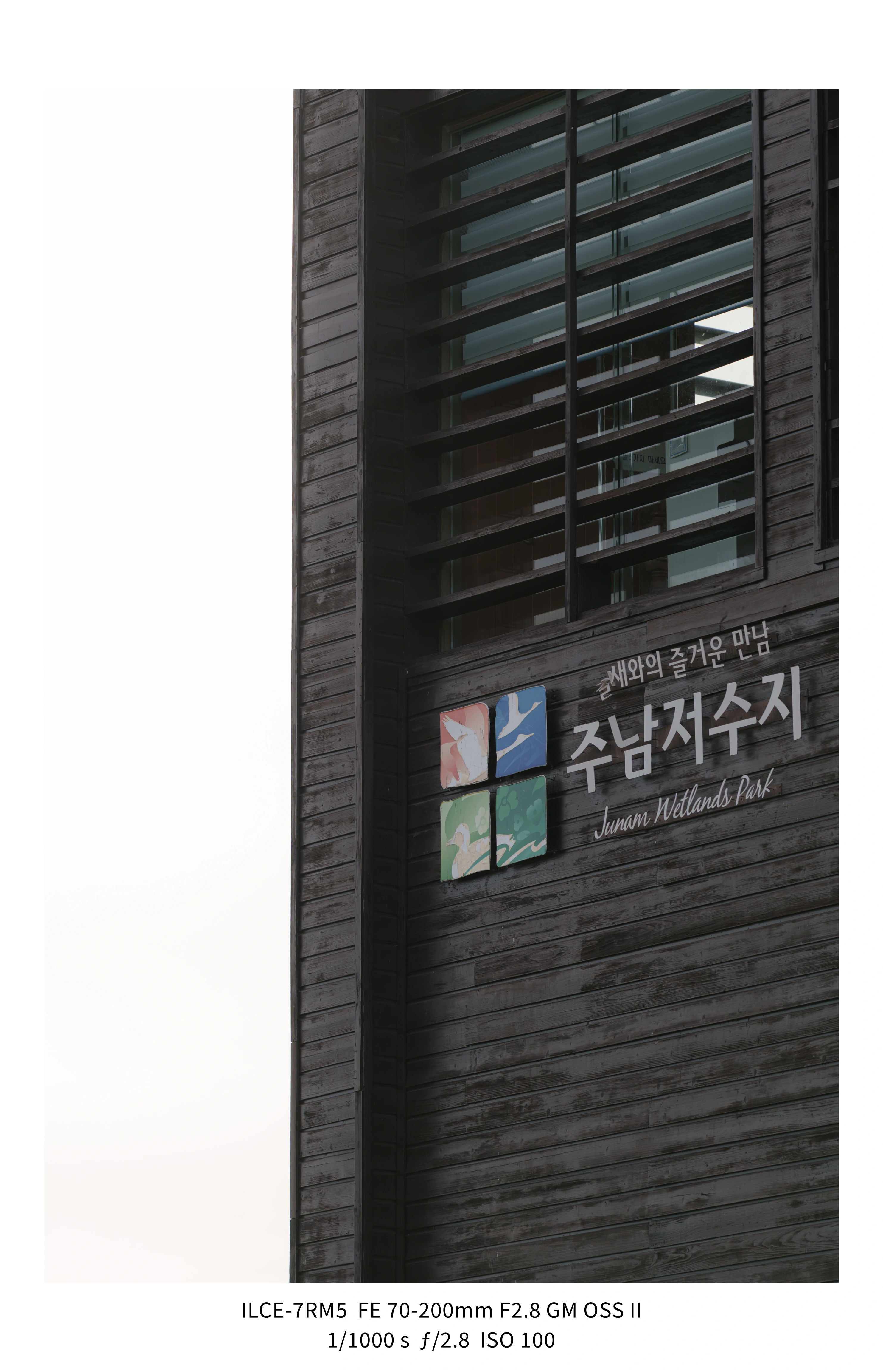 가을새를 찾아 떠난 주남저수지에서 [5] (28장) (14)