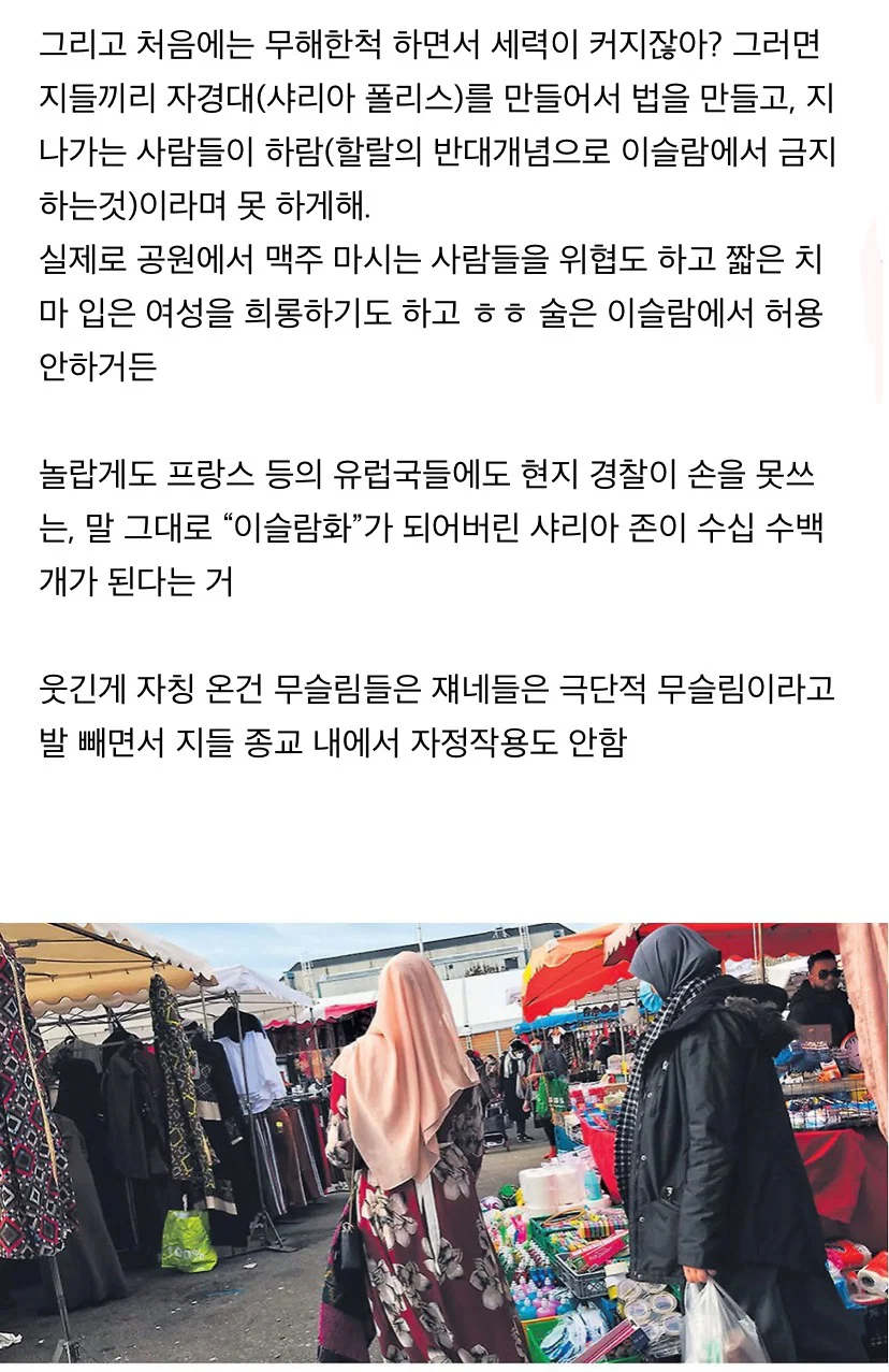 욕먹을 각오 하고 쓴다. 내가 무슬림, 이슬람 싫어하는 이유 알려줌 (4)