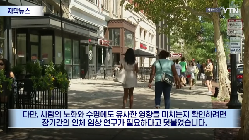 수명까지 늘었다...비만약 뜻밖의 효과 (11)