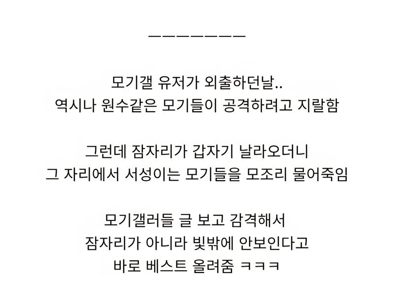 모기갤 회원이 감동받은 이유 (2)
