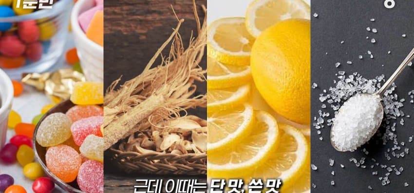 학교에서 배운 '혀 맛' 지도가 잘못됐다..? (36)