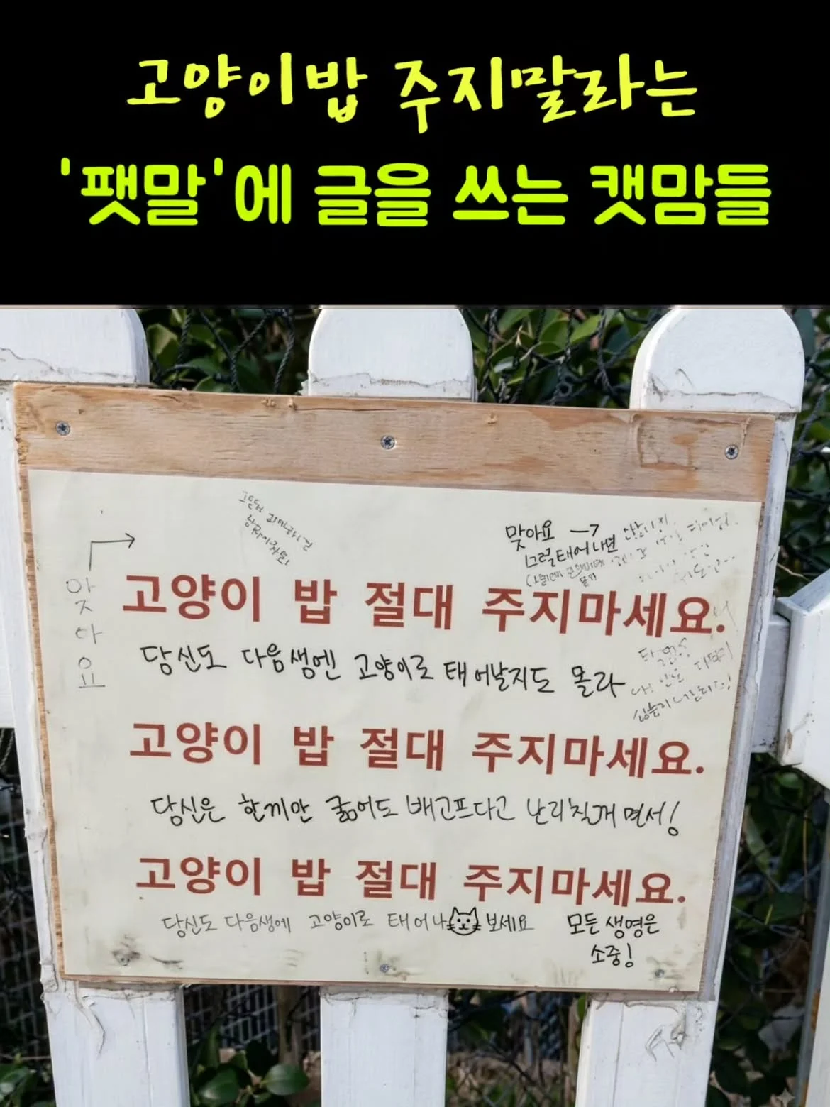 고양이밥 주지말라는 '팻말'에 글을 쓰는 캣맘들