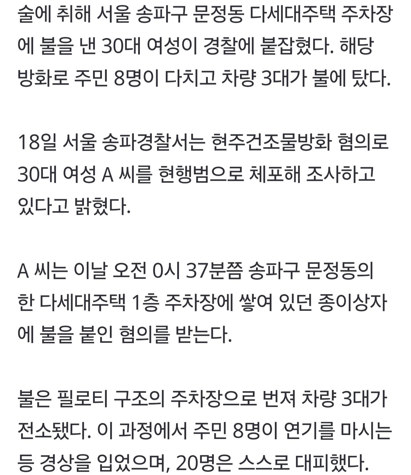 술 취한 30대 여성, 송파 다세대주택에 방화…8명 경상 (2)