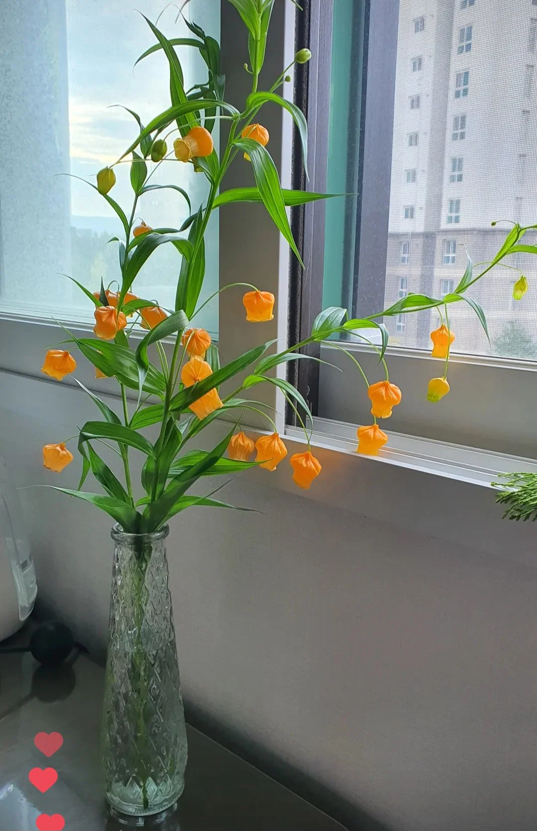 요즘 중국에서 생화계의 에르메스라 불린다는 꽃 (14)