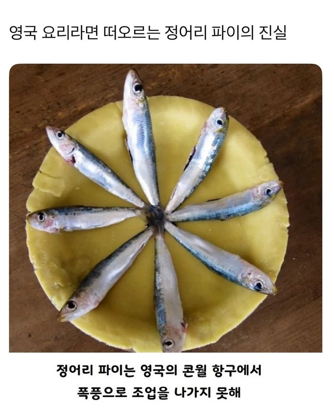 영국 정어리 파이의 진실