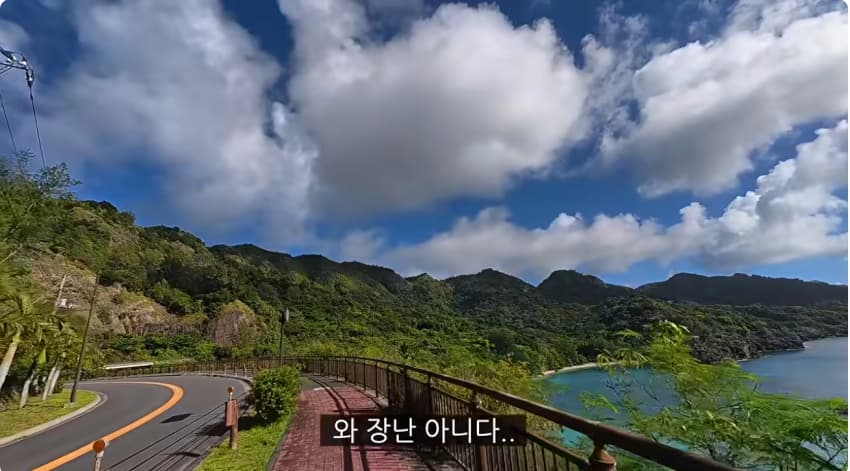 일본 부캉이 등장? 한국인이 좋아서 바다에 다이빙하면서 안부인사해주는일본 (13)