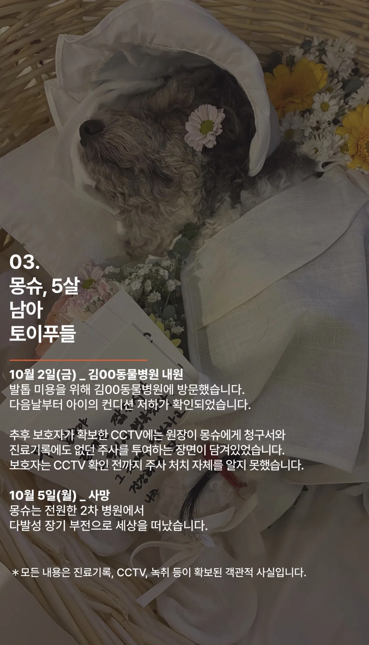 폭로 올라온 서울의 한 동물병원 (내원한 아이들 다 장기 부전으로 사망;) (8)