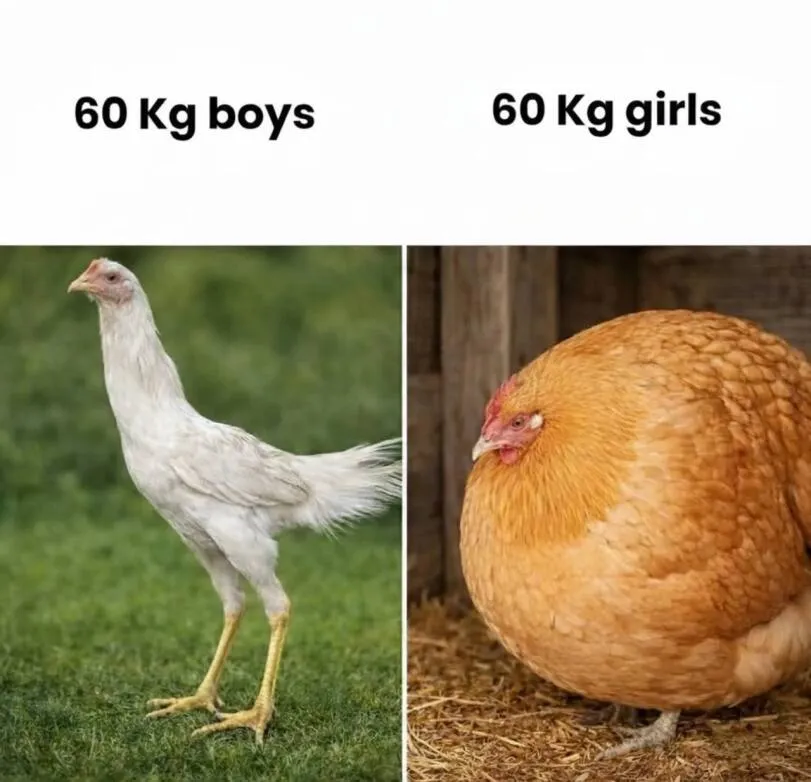 남자 vs 여자
