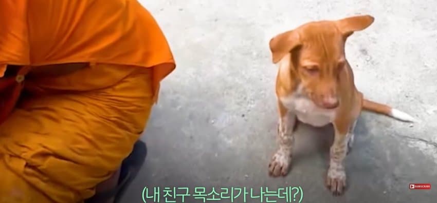의문의 울음 소리에, 사찰 바닥 직접 부순 스님들.jpf (12)