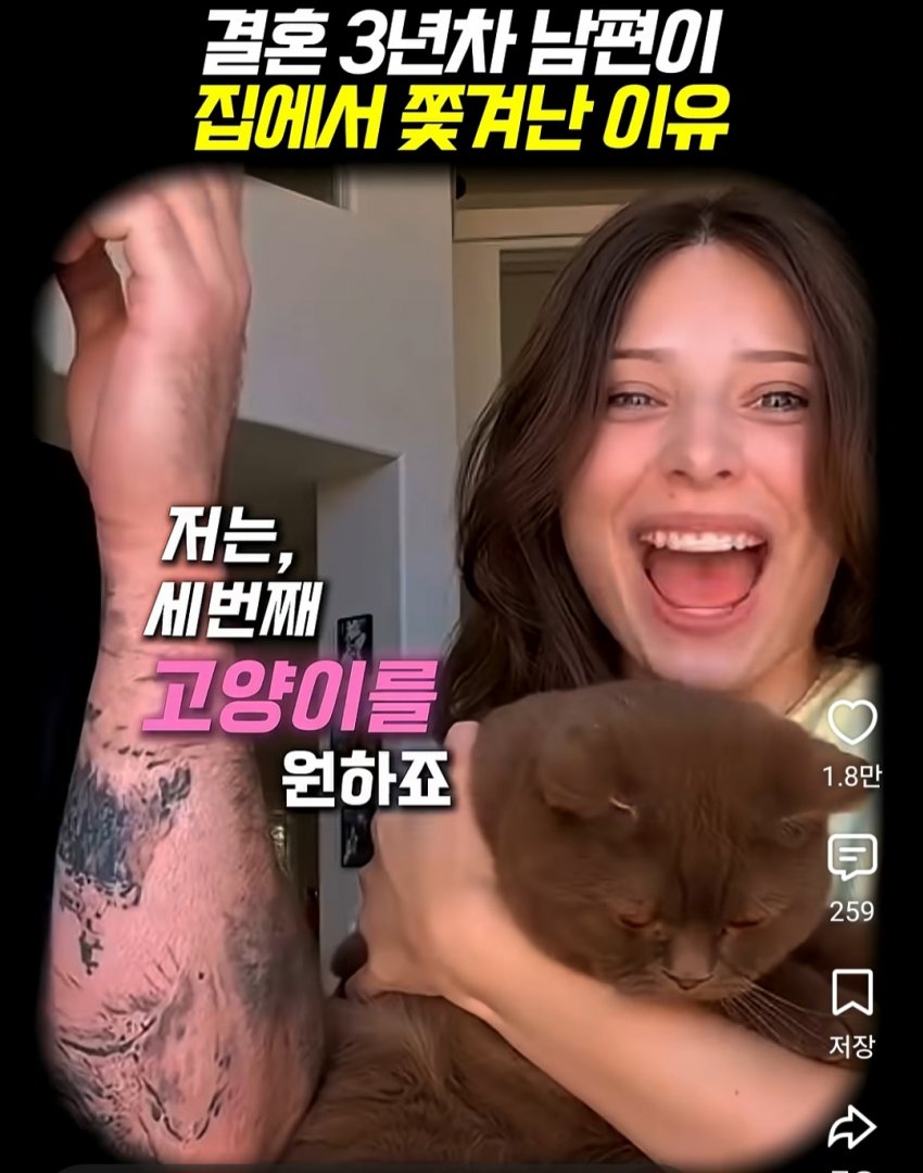 훌쩍훌쩍 부부의 반려동물 고르기촌 (8)