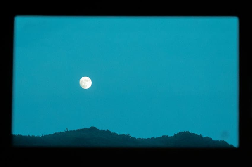 카메라가 필수인 이유 (9)