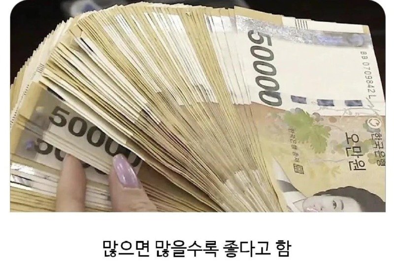 자취할때 있으면 삶의 질이 달라지는 아이템