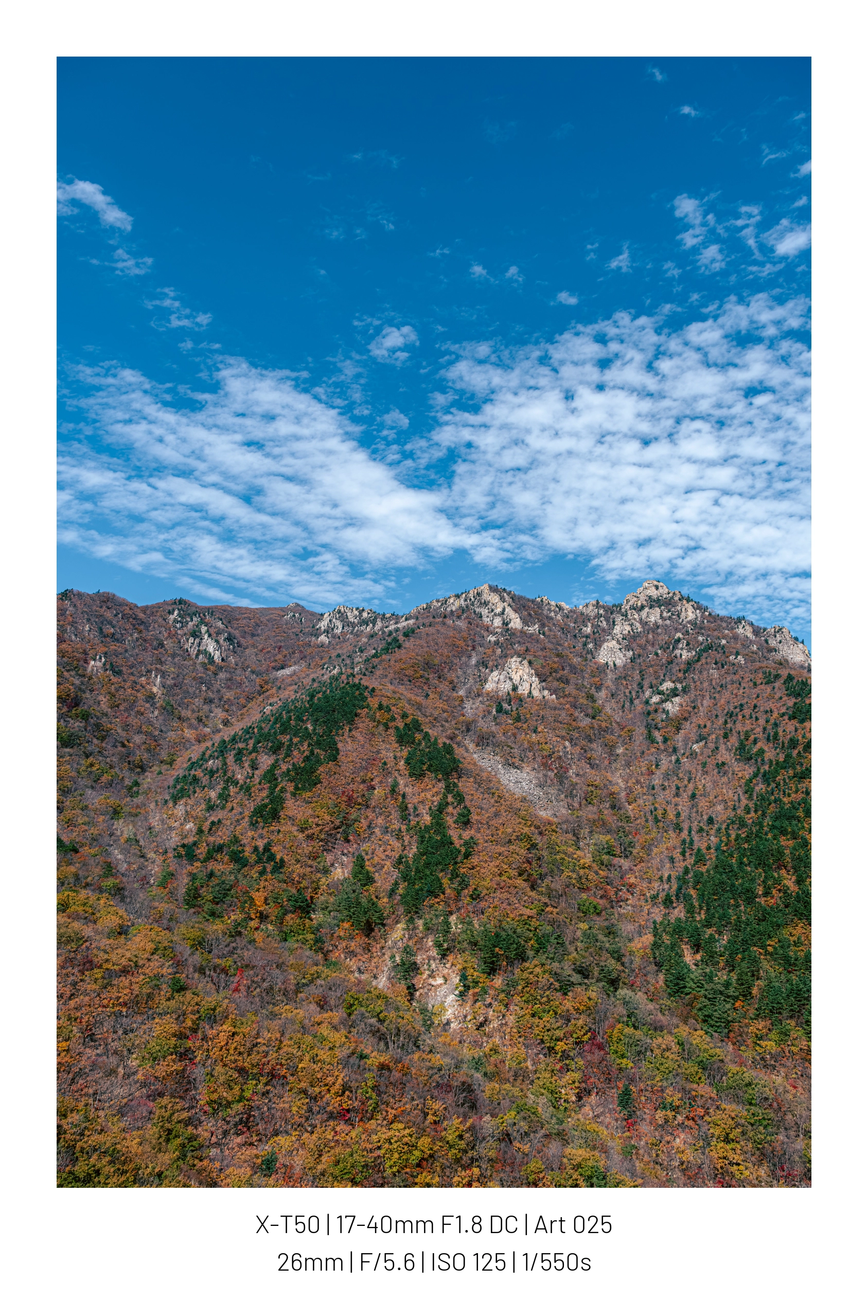 오늘 사진들 13장 (5)