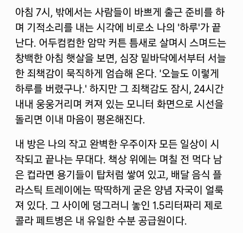 어느 반도의 쉬었음 30대 이야기 (3)