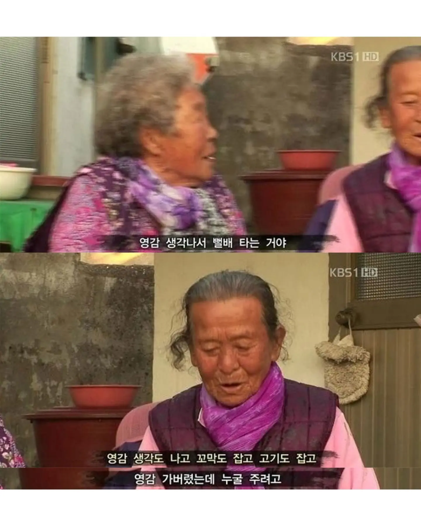 고양이가 생선 안 훔치게 지켜보라 부탁받은 할머니 (10)