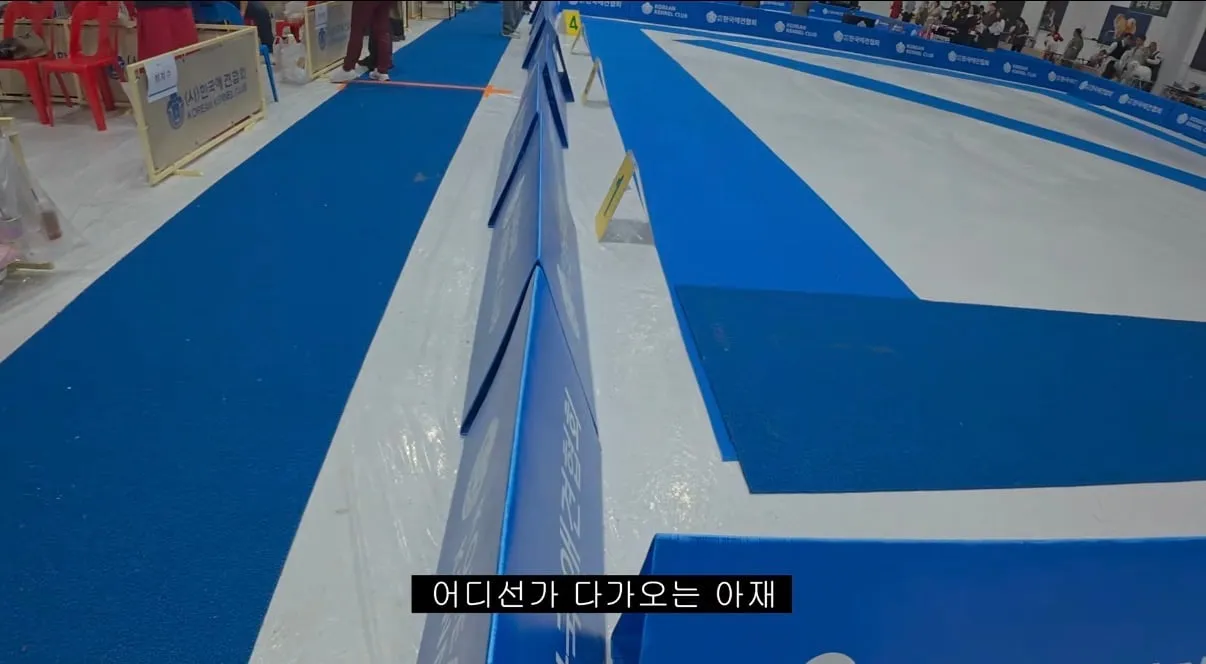 오늘자 도그쇼 협회관계자 망언