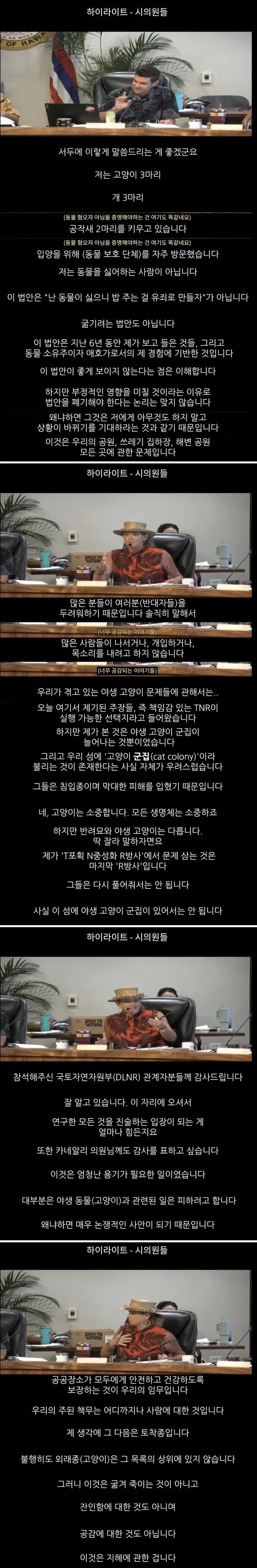 하와이 고양이 근황 feat. 의회 (5)