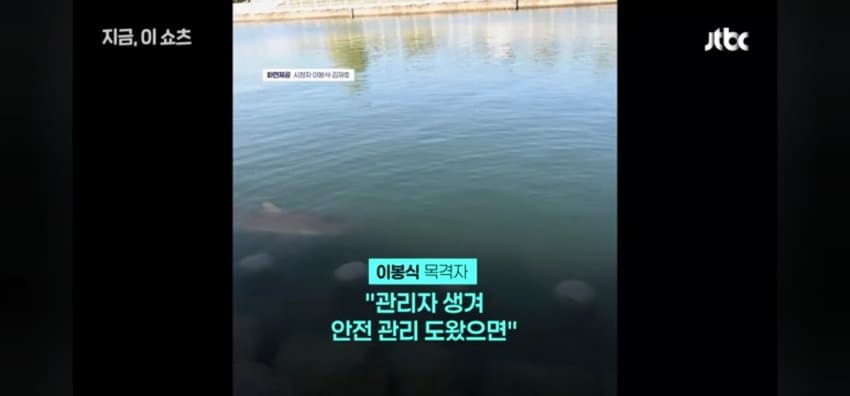 "우럭 먹자~" 부캉이에 생선 투척한 부산 시민 (14)