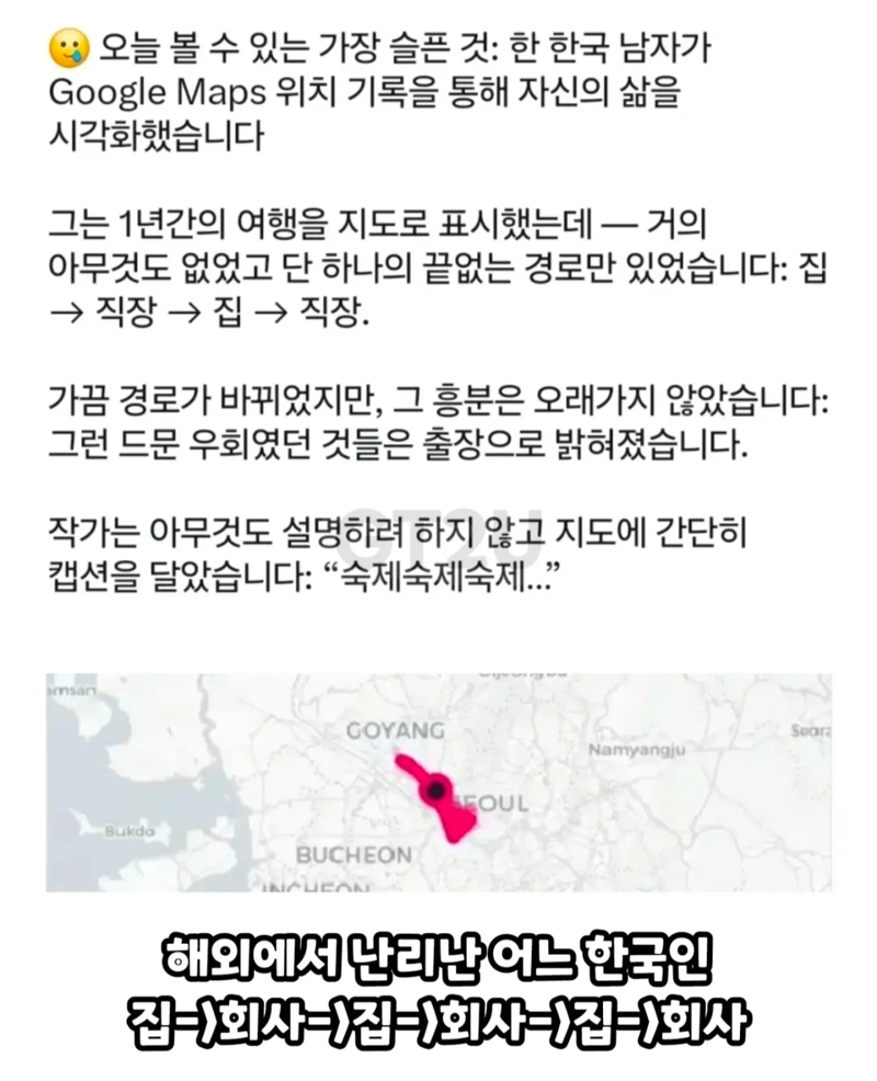 어느 한국인의 행동 반경