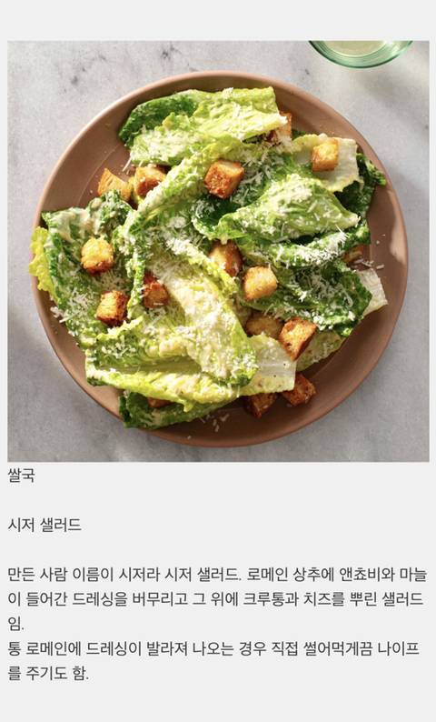 전 세계 나라들의 대표 샐러드