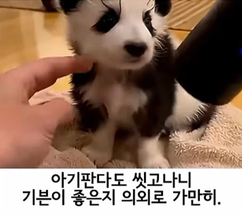 유튜브 쇼츠 AI 뇌절 대잔치 (6)