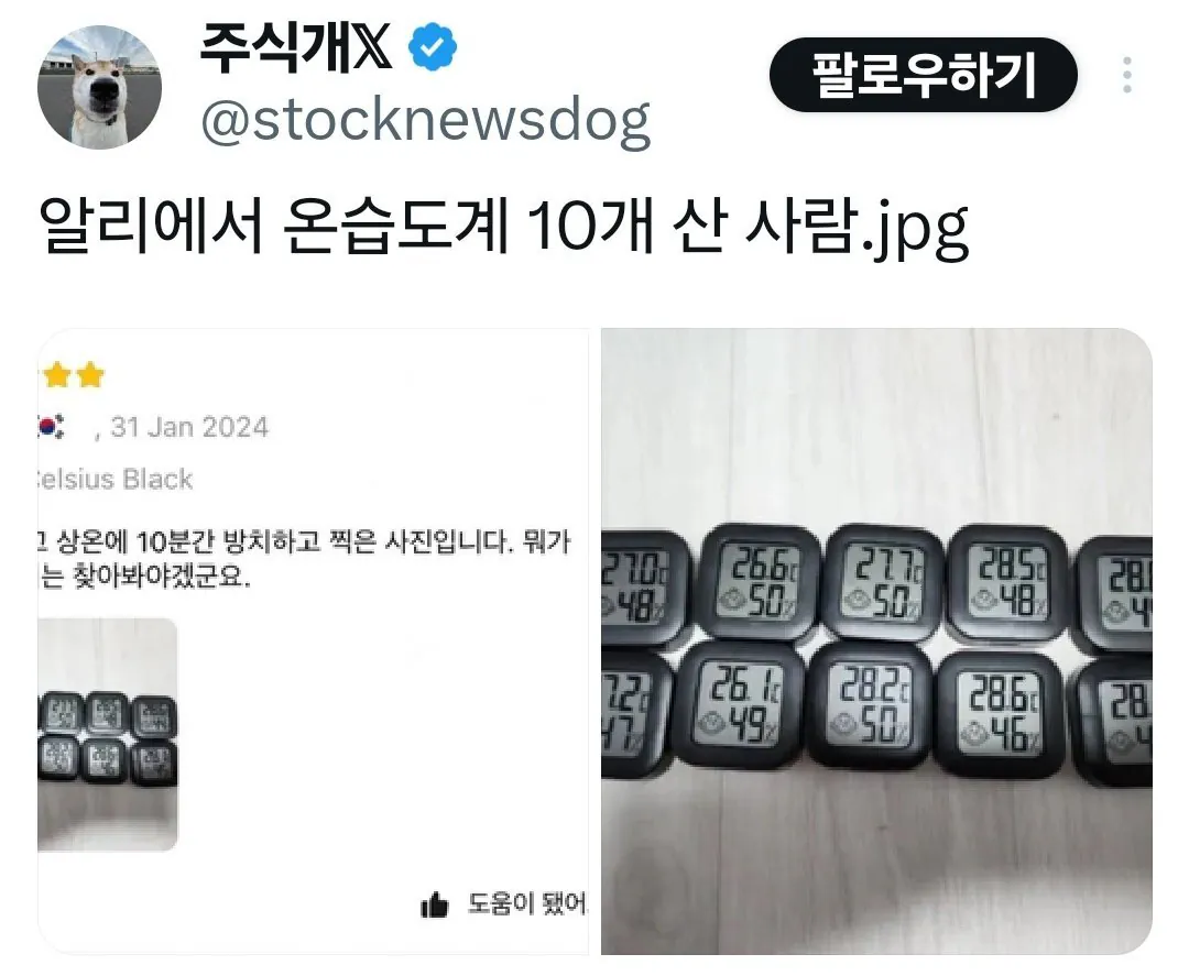 알리에서 온도계 산 사람