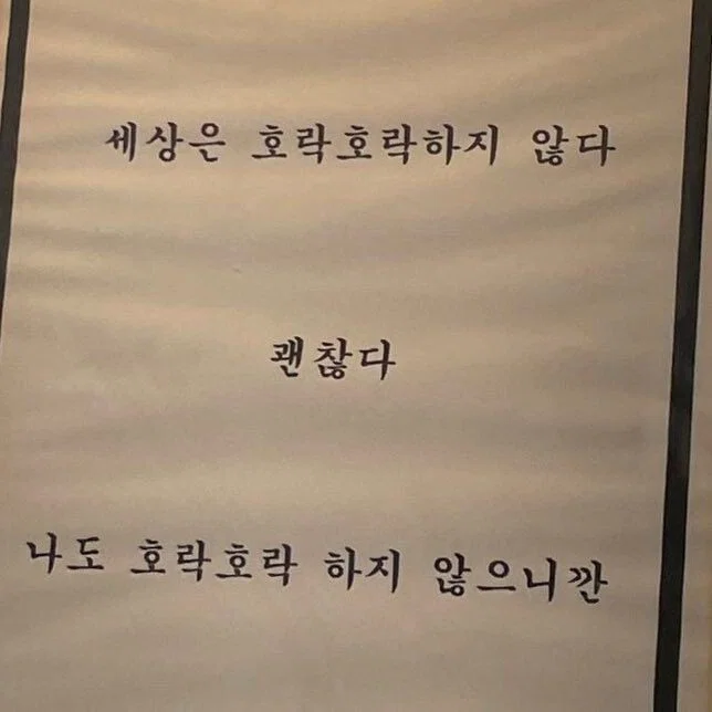 미용실 보냈는데 푸들이 실종되고 아기양으로 돌아왔습니다 (15)