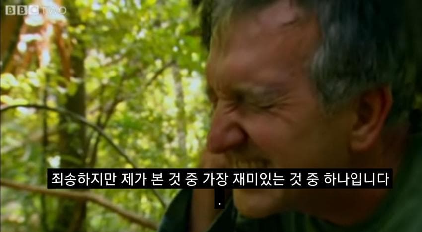 싱글벙글 관찰하러 온 제작진에게 교미를 시도하는 앵무새 (9)