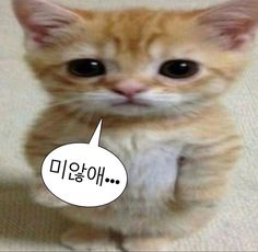 JXKmFQ