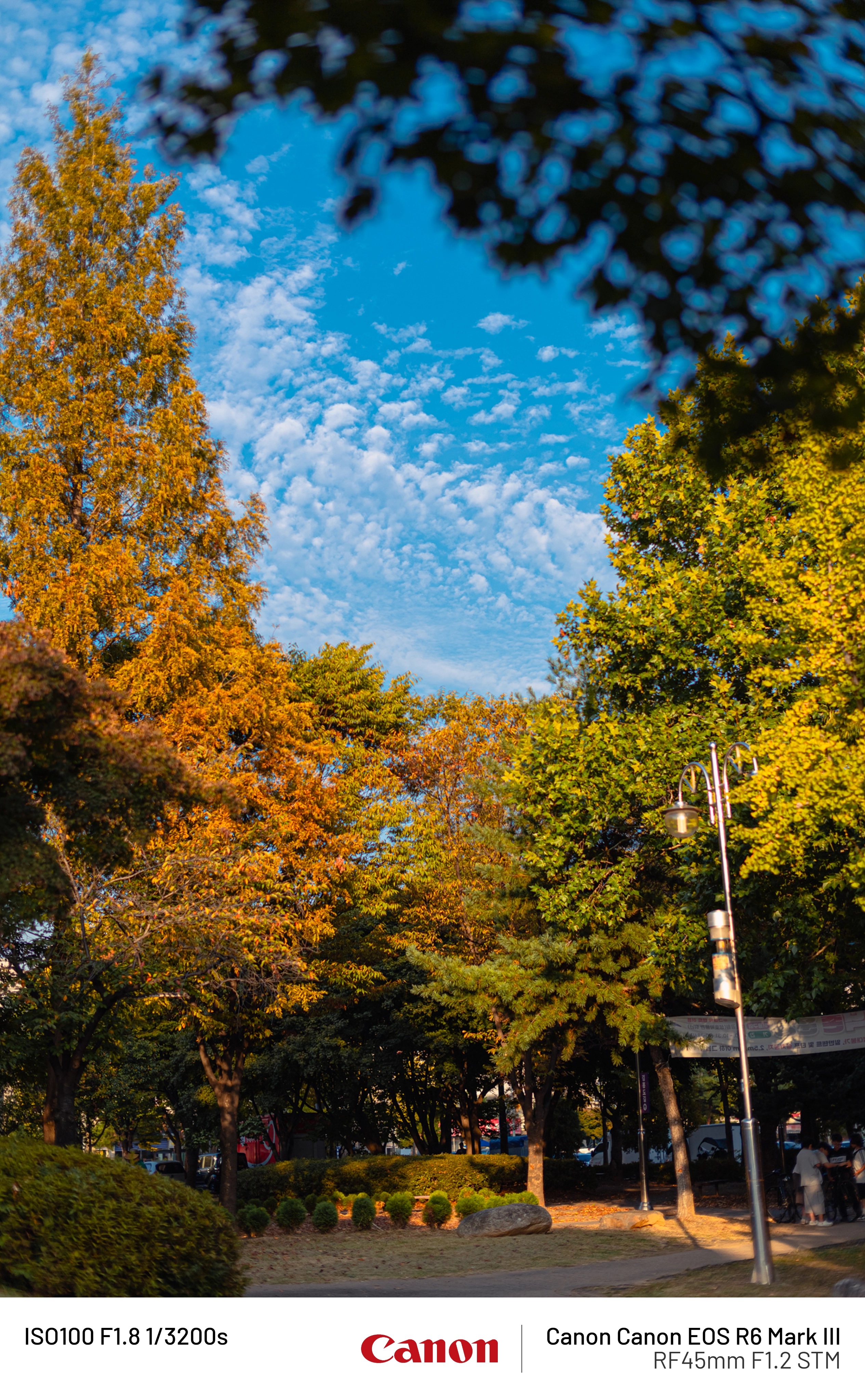 사오이 사진(30) (3)