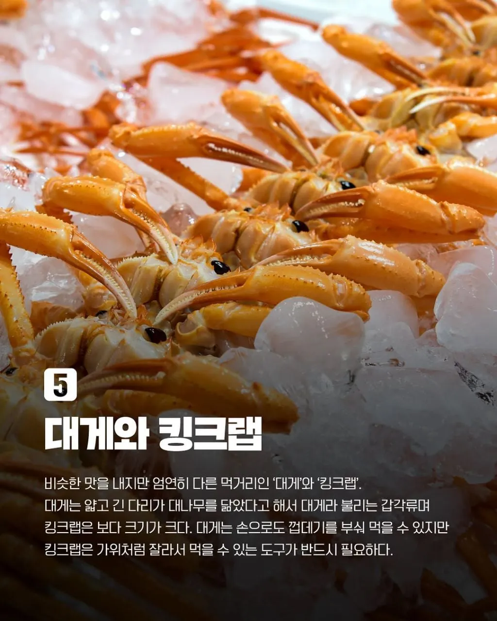 비슷하지만 다른 음식 7가지.jpg