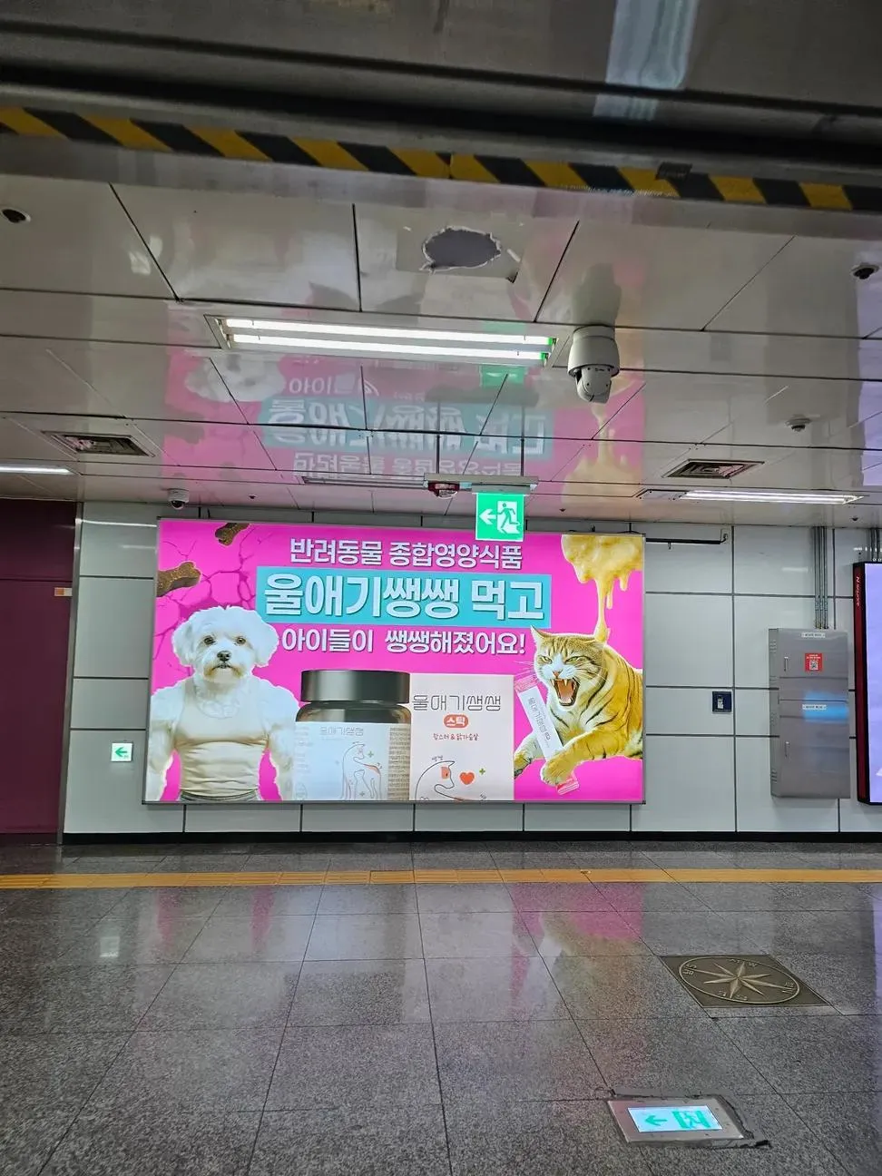 반려견 영양제 광고수준ㄷㄷ