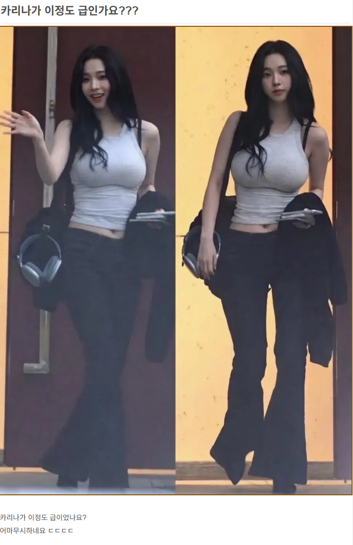 카리나