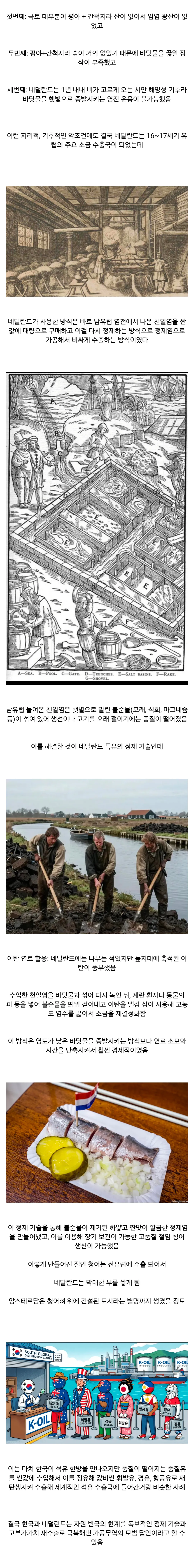 소금 한줌 안나오는 나라가 소금 수출국이 된 이유