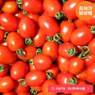 대추방울토마토 2kg 로얄과 9,626원 (선착순)